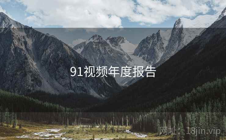 91视频年度报告