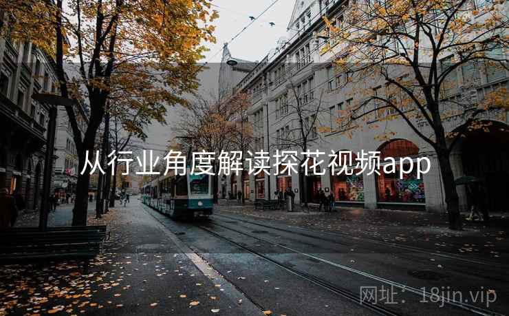 从行业角度解读探花视频app