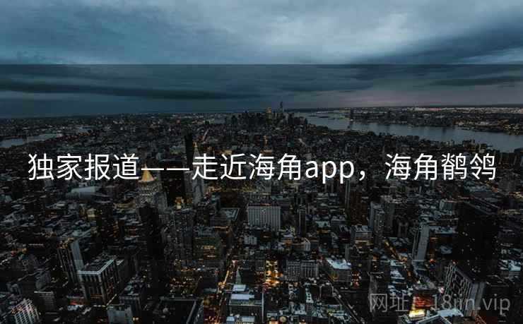 独家报道——走近海角app，海角鹡鸰