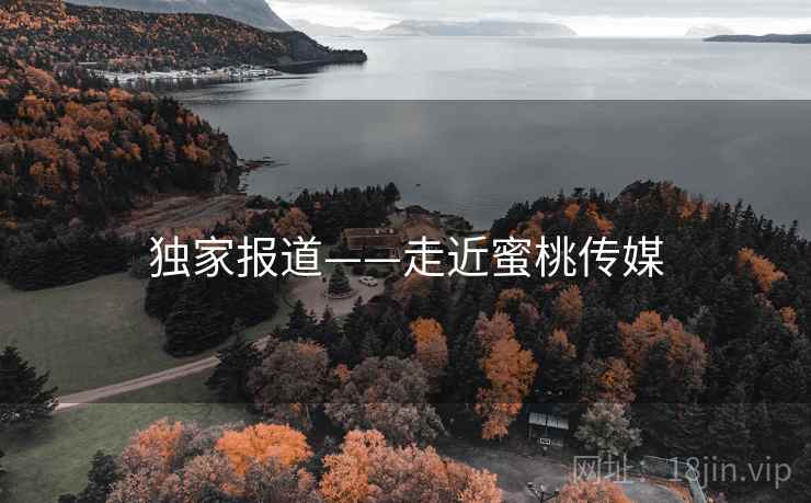独家报道——走近蜜桃传媒