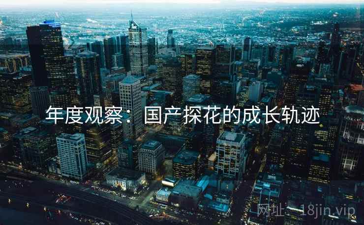 年度观察：国产探花的成长轨迹
