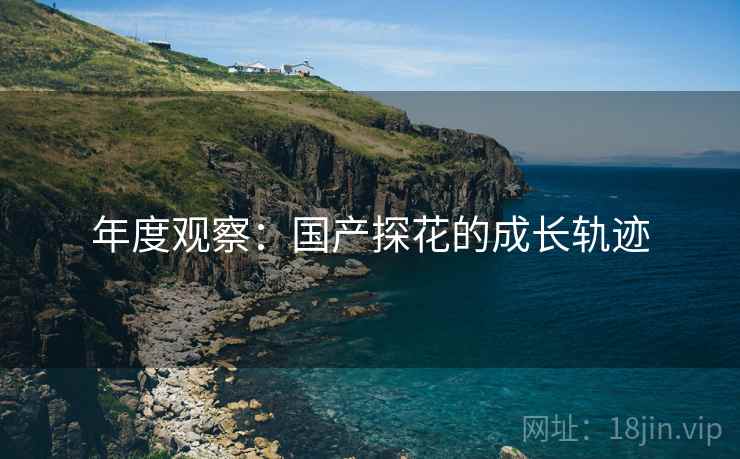 年度观察：国产探花的成长轨迹