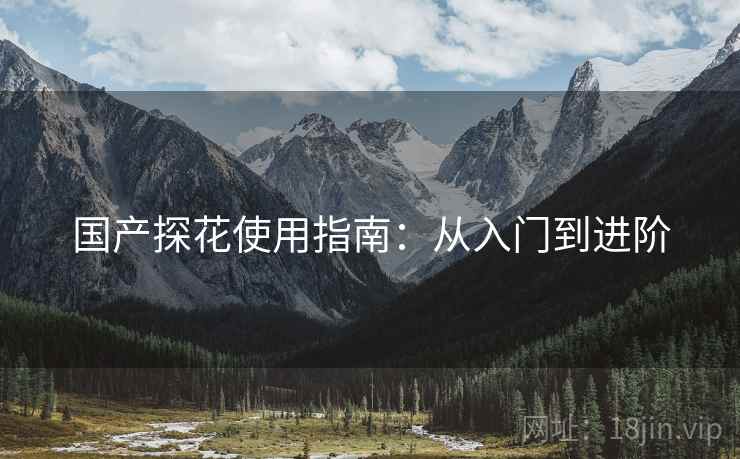 国产探花使用指南：从入门到进阶