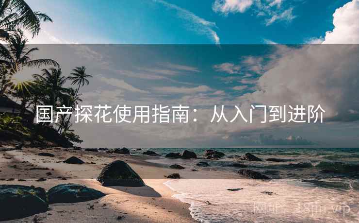 国产探花使用指南：从入门到进阶