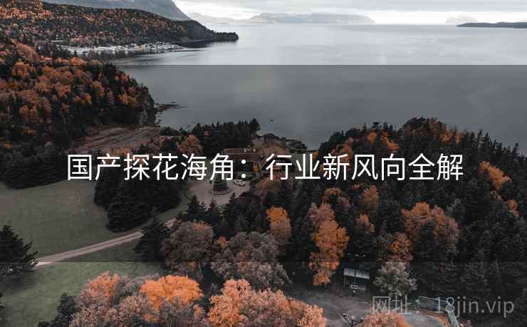 国产探花海角：行业新风向全解