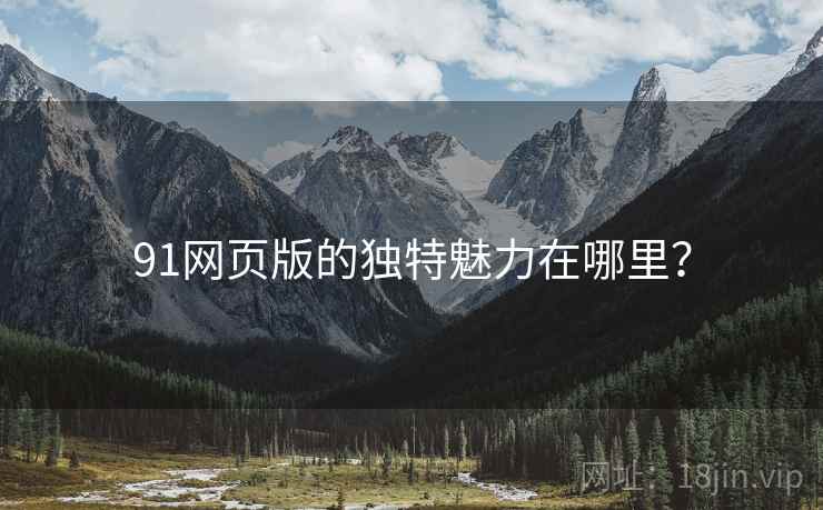 91网页版的独特魅力在哪里？