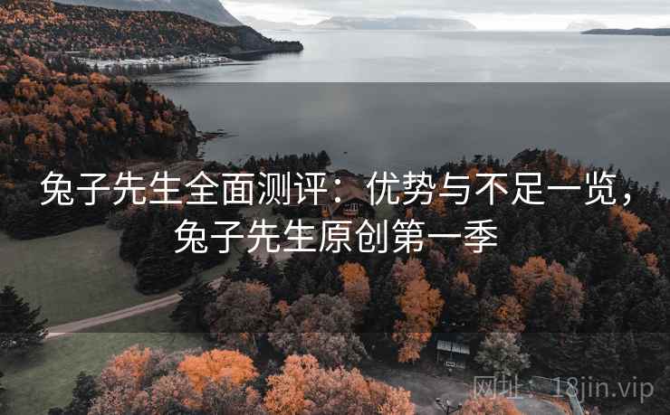 兔子先生全面测评：优势与不足一览，兔子先生原创第一季