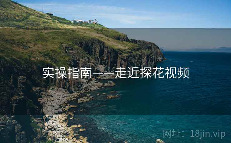 实操指南——走近探花视频