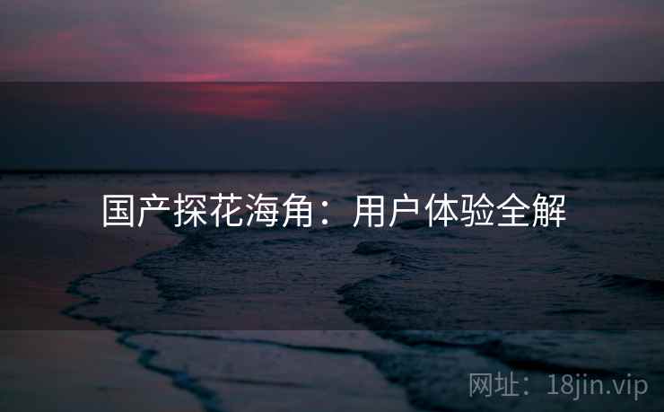 国产探花海角：用户体验全解