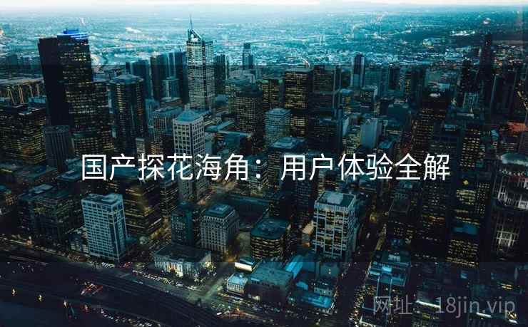 国产探花海角：用户体验全解
