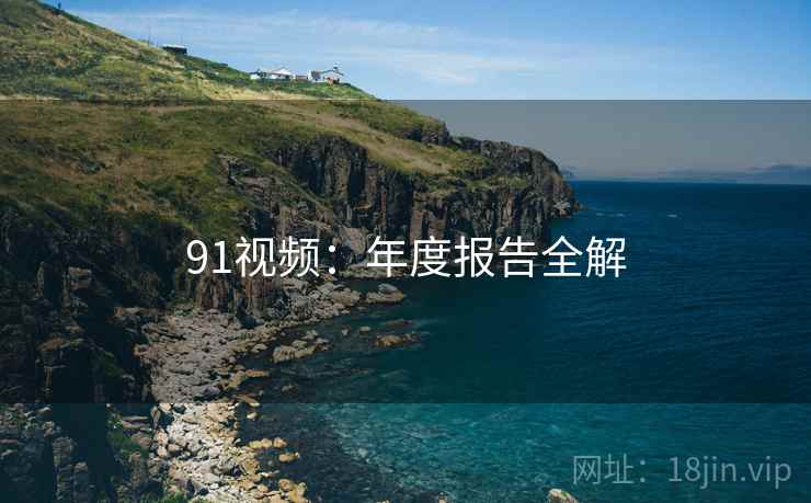 91视频：年度报告全解