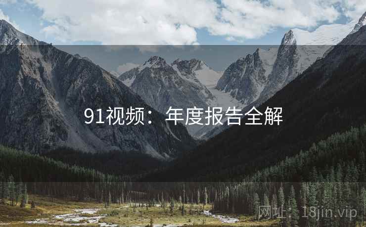 91视频：年度报告全解