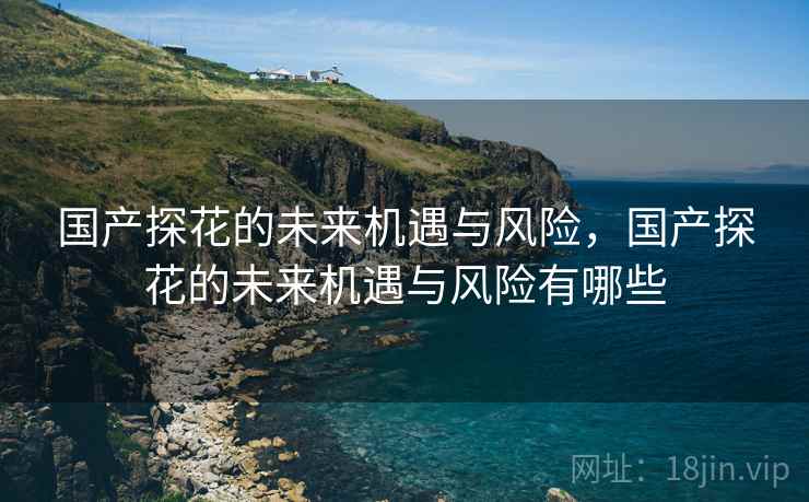 国产探花的未来机遇与风险，国产探花的未来机遇与风险有哪些