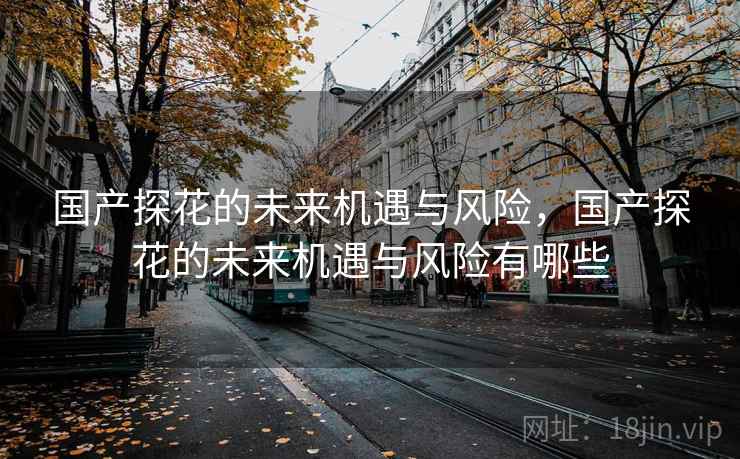 国产探花的未来机遇与风险，国产探花的未来机遇与风险有哪些