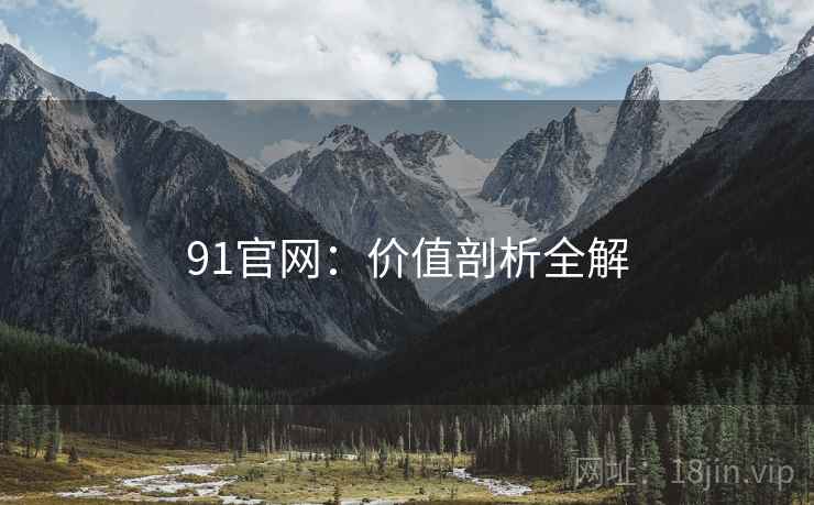 91官网：价值剖析全解