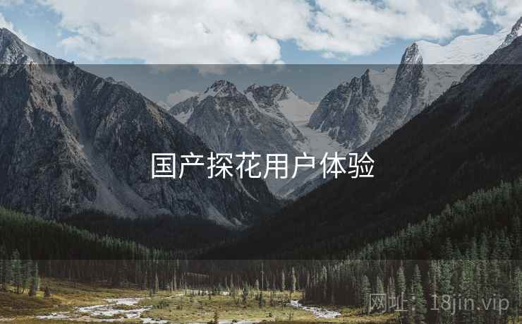 国产探花用户体验