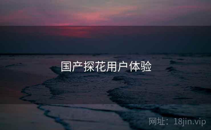 国产探花用户体验