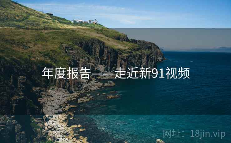 年度报告——走近新91视频