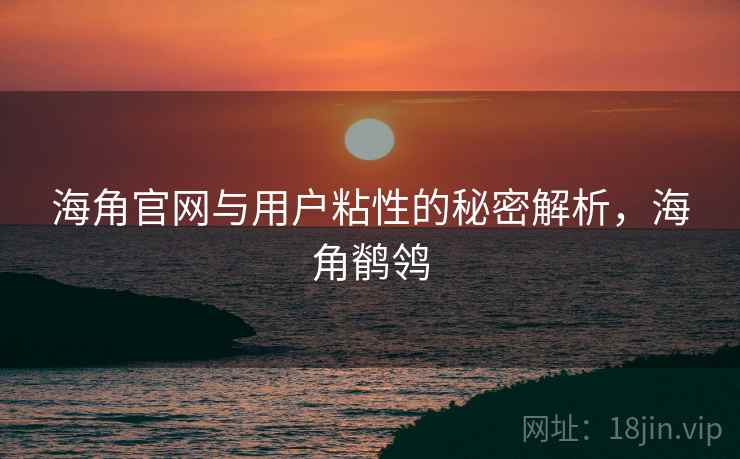 海角官网与用户粘性的秘密解析，海角鹡鸰