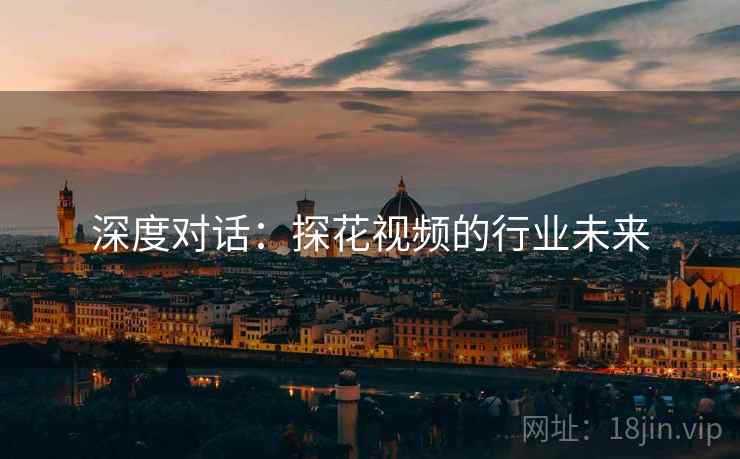 深度对话：探花视频的行业未来