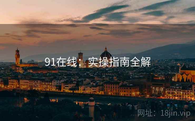 91在线：实操指南全解
