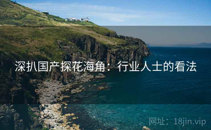 深扒国产探花海角：行业人士的看法
