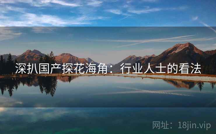 深扒国产探花海角：行业人士的看法