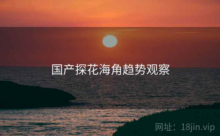 国产探花海角趋势观察