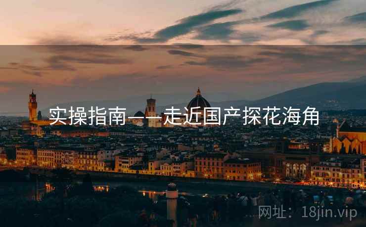 实操指南——走近国产探花海角
