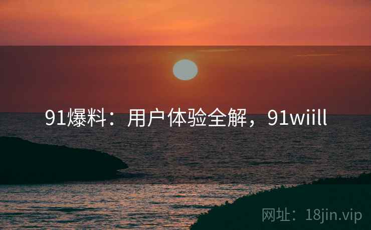 91爆料:用户体验全解,91wiill 91爆料:用户体验全解,91wiill