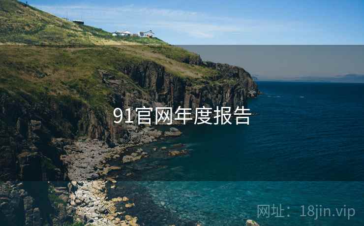 91官网年度报告