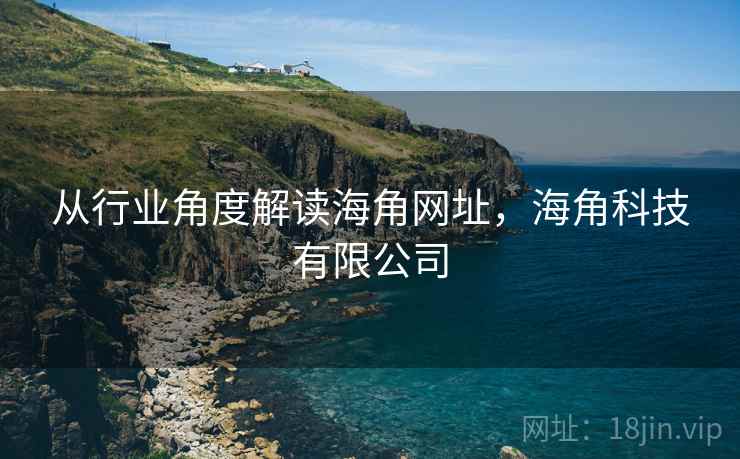 从行业角度解读海角网址，海角科技有限公司