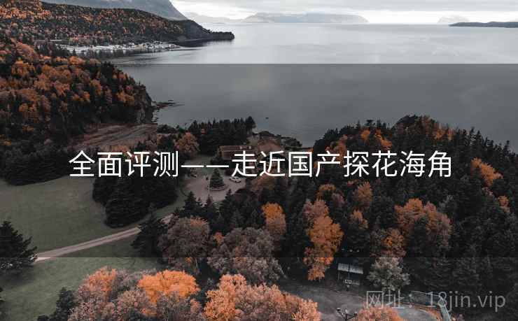 全面评测——走近国产探花海角