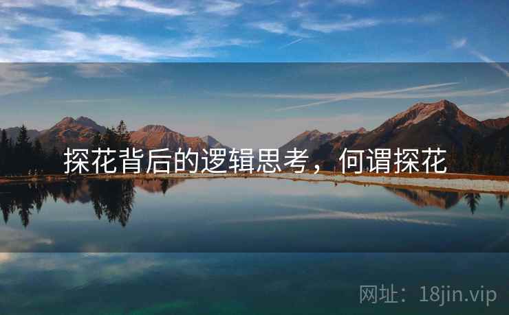 探花背后的逻辑思考，何谓探花