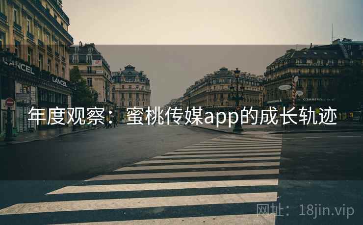 年度观察：蜜桃传媒app的成长轨迹