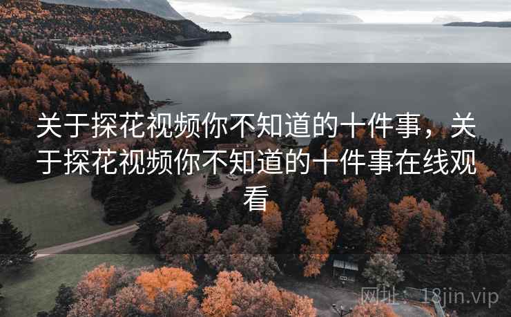 关于探花视频你不知道的十件事，关于探花视频你不知道的十件事在线观看