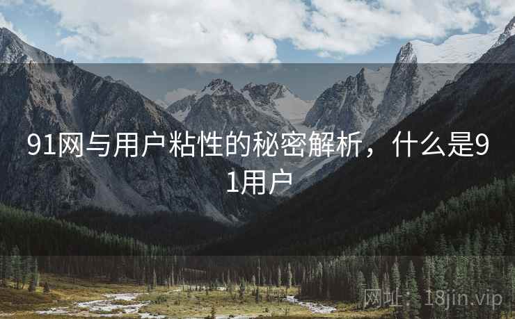 91网与用户粘性的秘密解析，什么是91用户