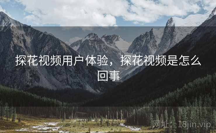 探花视频用户体验，探花视频是怎么回事