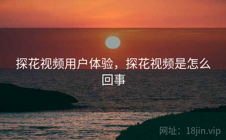 探花视频用户体验，探花视频是怎么回事