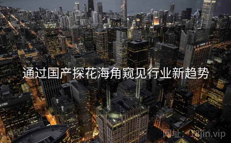 通过国产探花海角窥见行业新趋势