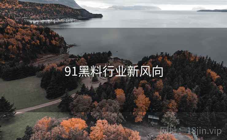 91黑料行业新风向