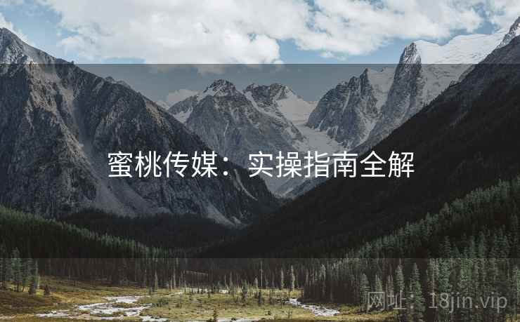 蜜桃传媒：实操指南全解