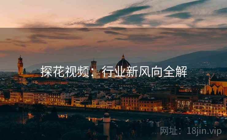 探花视频：行业新风向全解