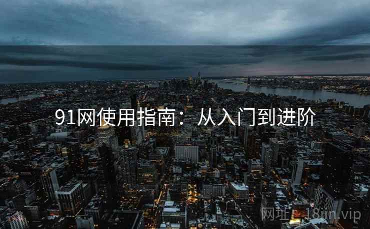 91网使用指南：从入门到进阶