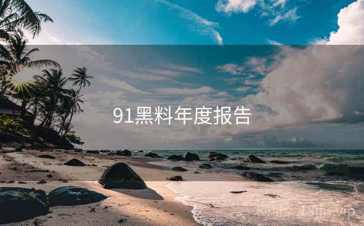 91黑料年度报告