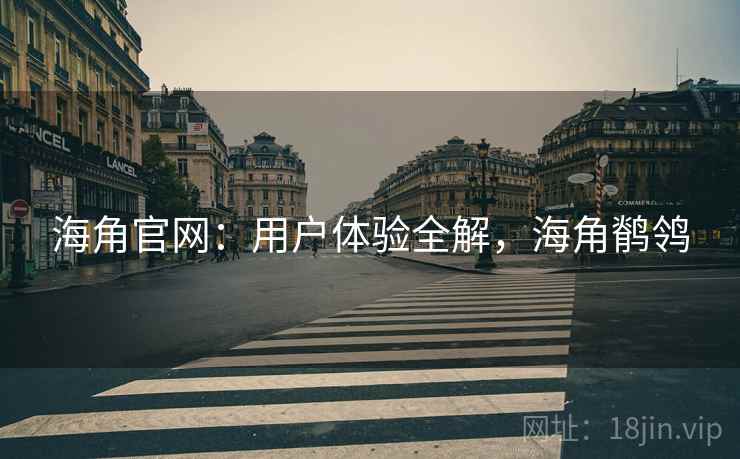 海角官网：用户体验全解，海角鹡鸰