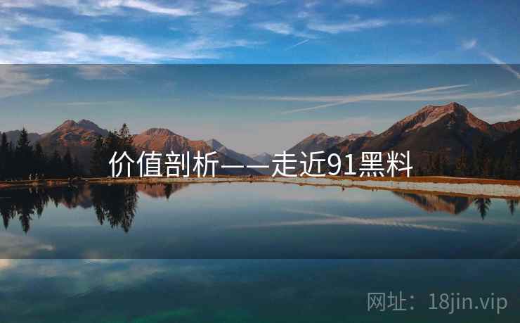价值剖析——走近91黑料