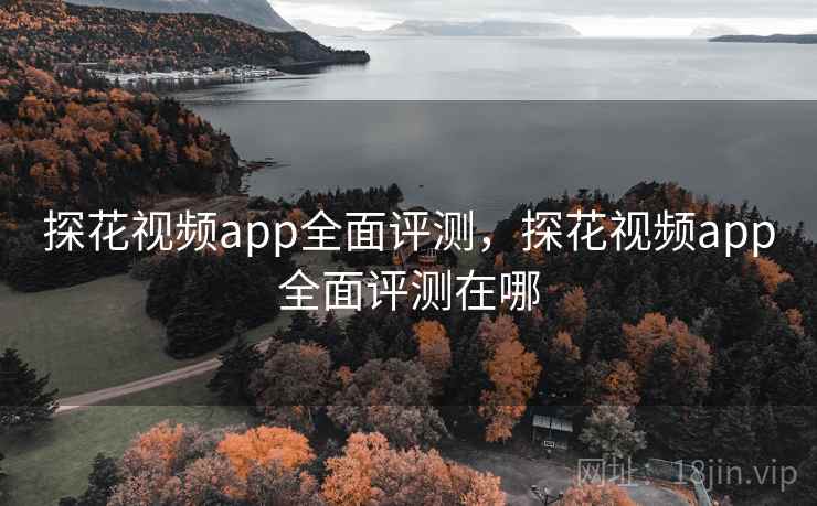 探花视频app全面评测，探花视频app全面评测在哪